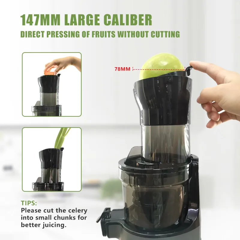 FirmHome StoreIslow Orange Cit - Juicer Cold Press Slow ulasan dan harga