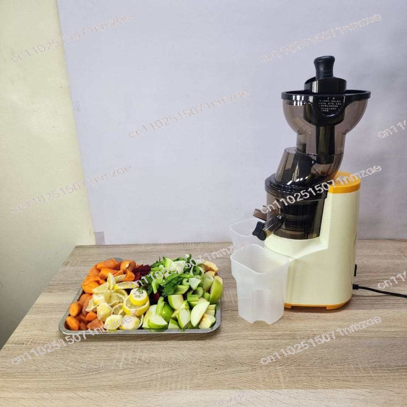 76mm Large Diameter Slow Juice - Juicer Cold Press Slow ulasan dan harga