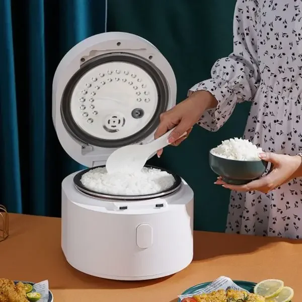 110v smart Rice cooker 3L rice - Kitchen Appliances Canada ulasan dan harga